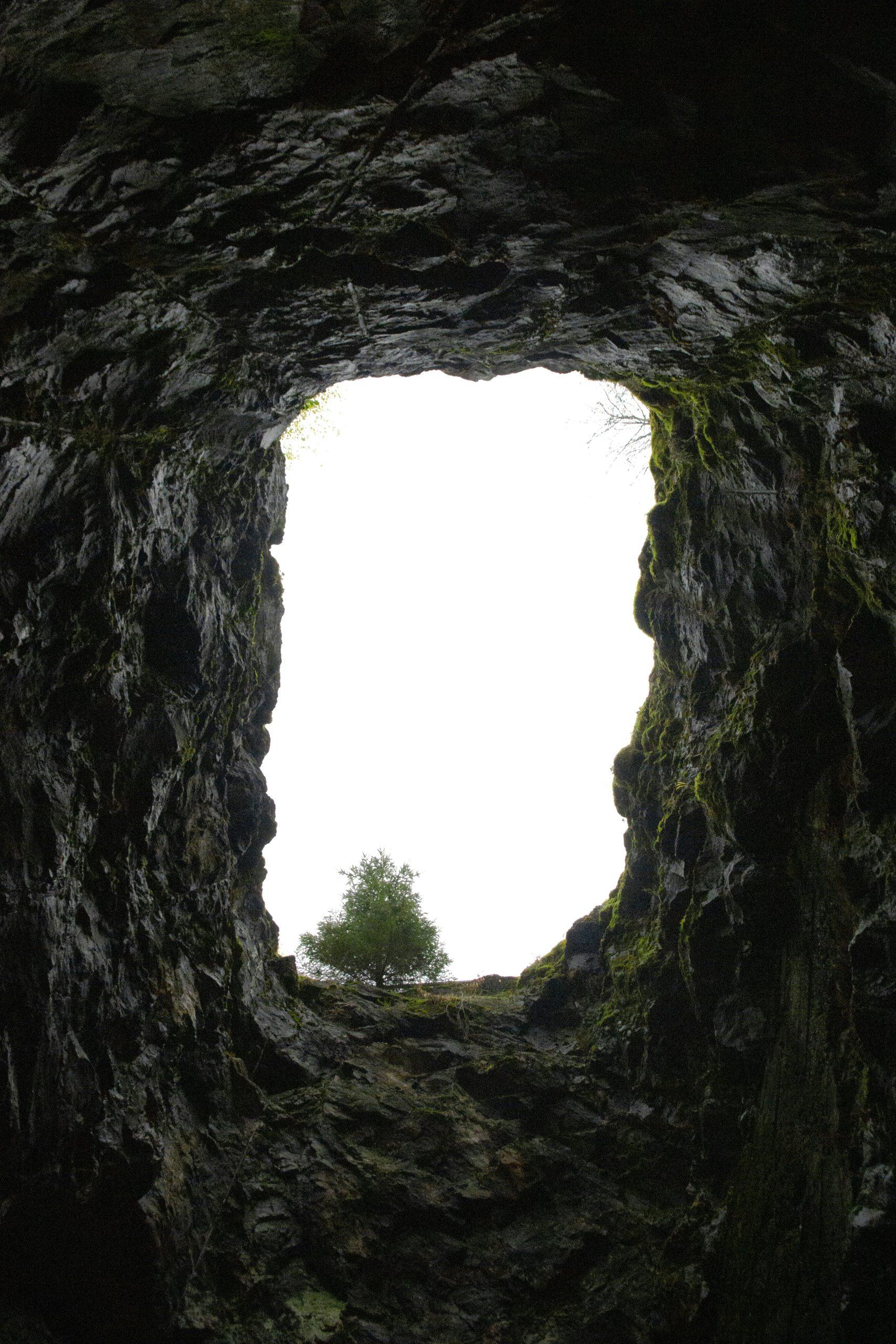 andy-vult-y_EJZc7IYuk-unsplash andy-vult-y_EJZc7IYuk-unsplash